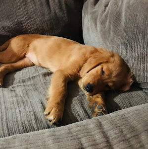 Meet your Posher, Erica